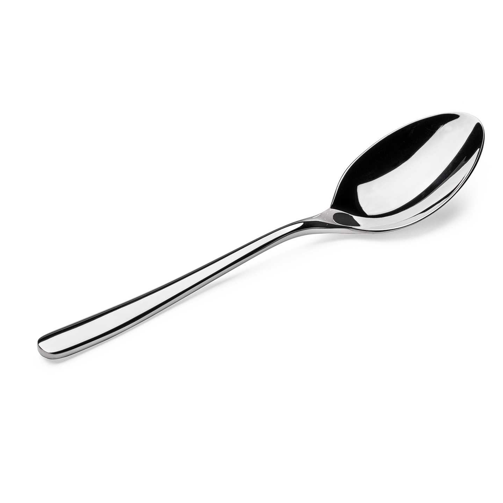 Vague Stylo Stainless Steel Spoon