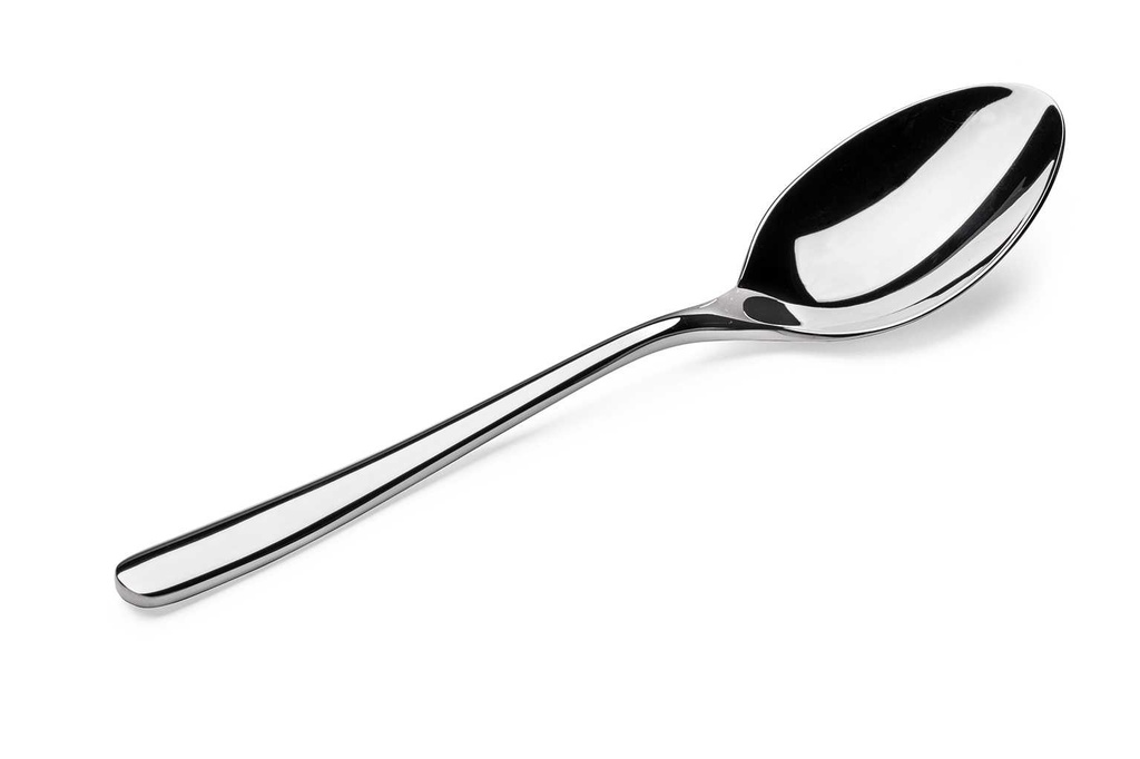 Vague Stylo Stainless Steel Spoon