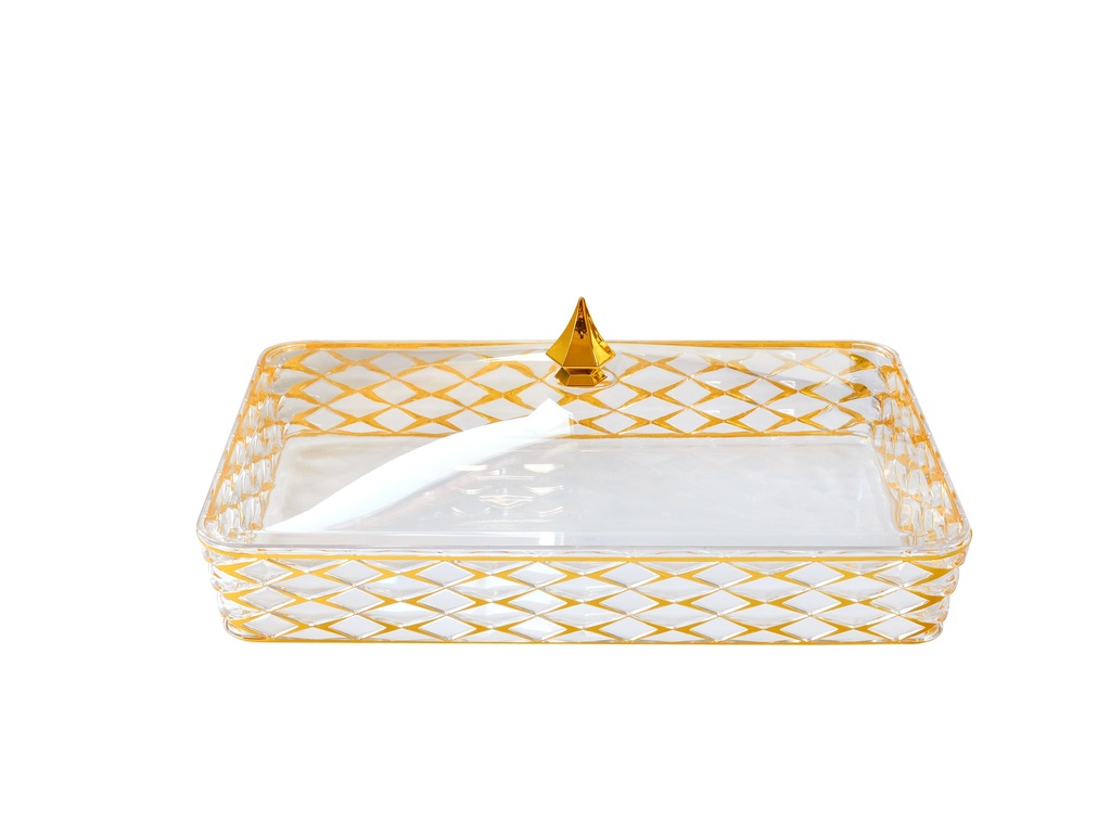 Vague Acrylic Transparent & Golden Rectangular Small Candy Box with Cover 31.7 cm x 21 cm Tog Design