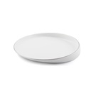 Porcelain Silver Show Plate