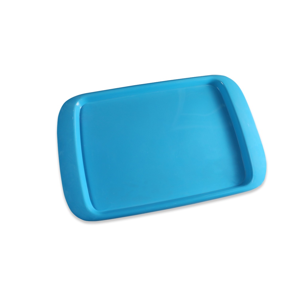 PC Rectangular Serving Rose Plastic Tray Blue