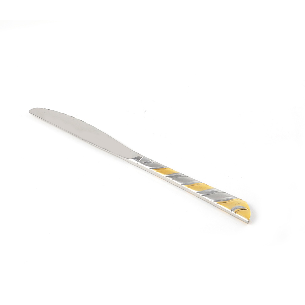 Stainless Steel Dinner Knife