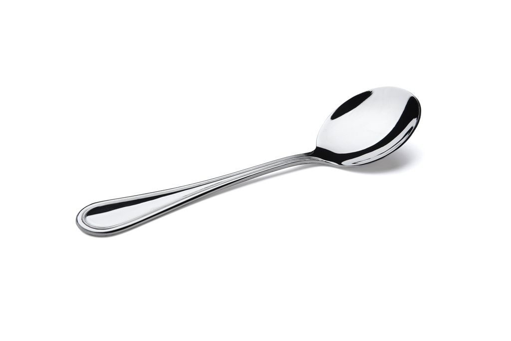 Linayu Stainless Steel Lino Large Soup Spoon