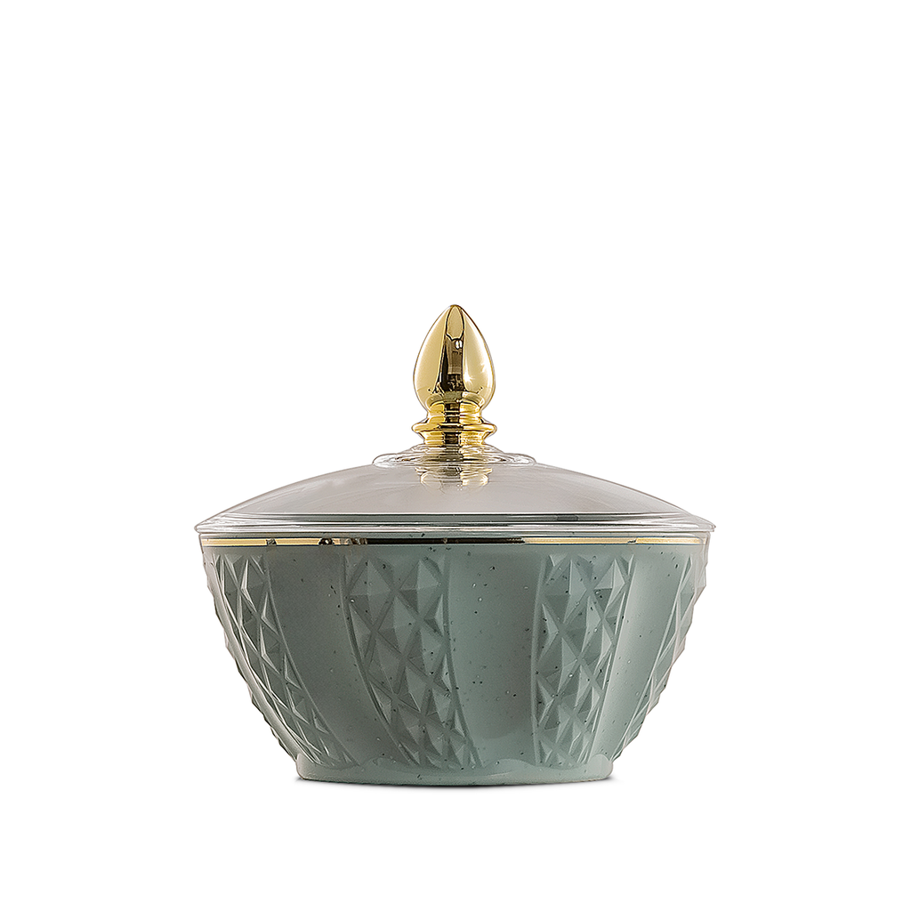 وعاء بلاستيكي للتمر باللون الأخضر الوردي RS-2424