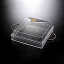 Vague Acrylic Clear Serving Set 29 cm x 29 cm