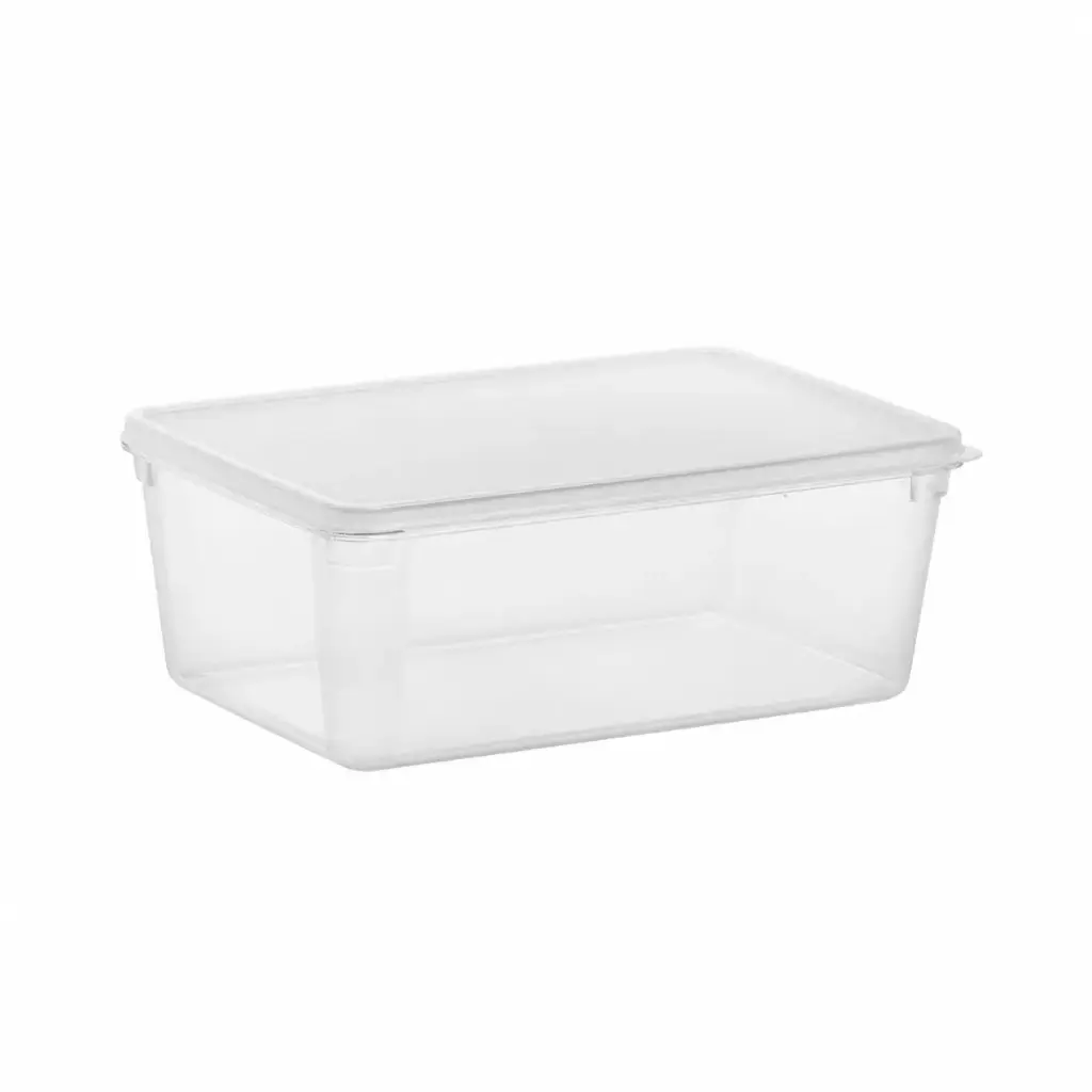 Vague PC Storage Box with PP Lid 3 Liter