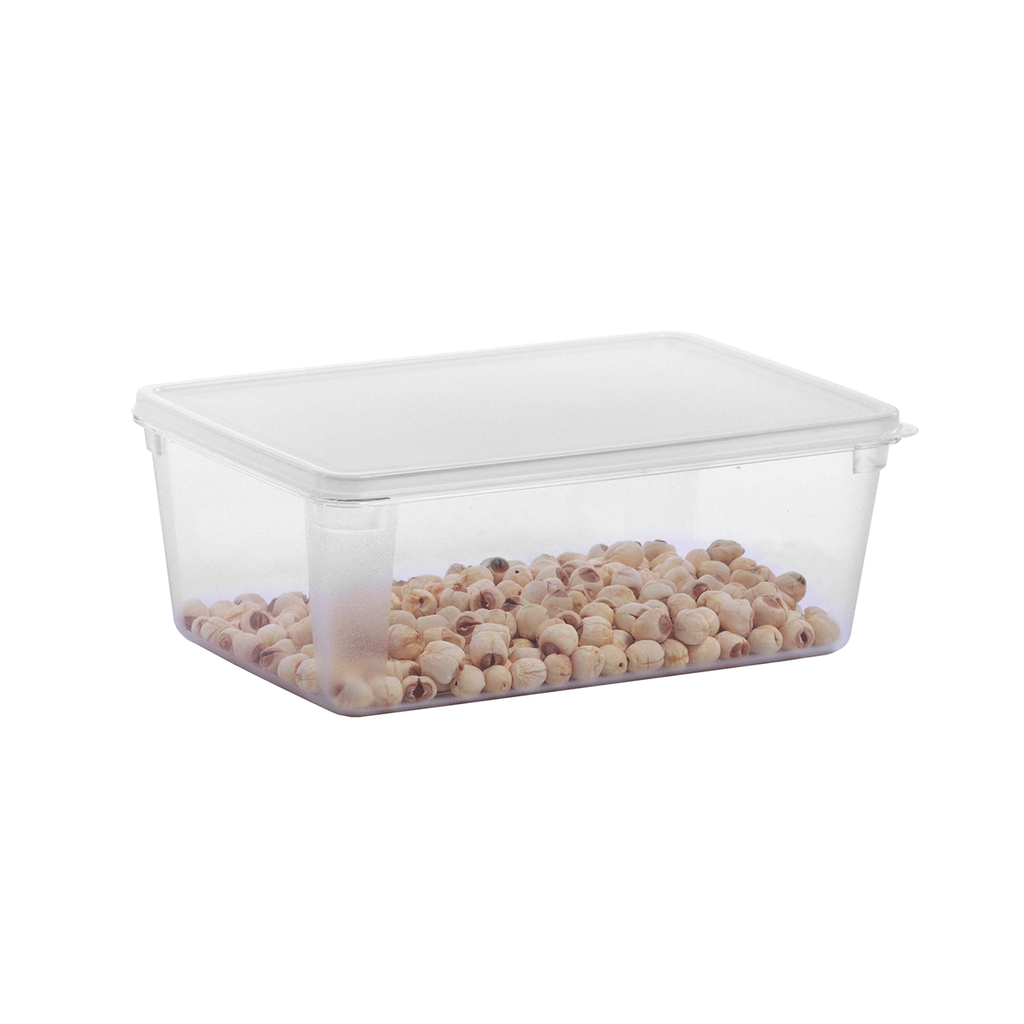 Vague PP Storage Box 3 L 