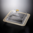 Vague Acrylic Dessert Serving Set Square with S