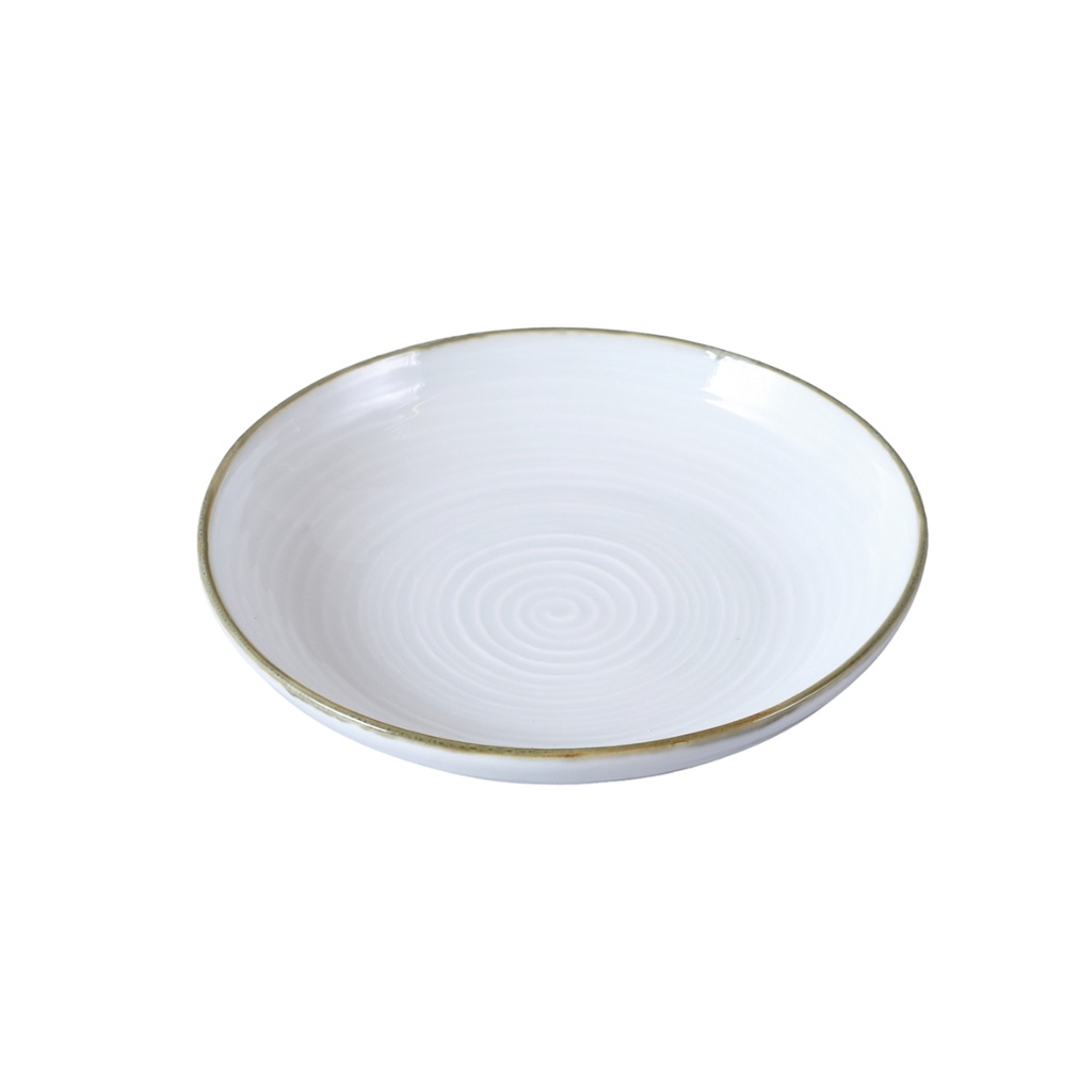 Porceletta Terra Reactive Glaze Porcelain 8.25" Soup Plate