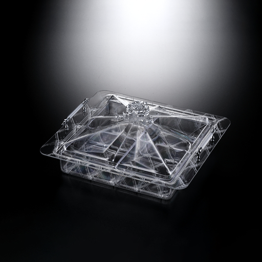 [02-1007S] Vague Acrylic Serving Set with 4 Bowls - Silver