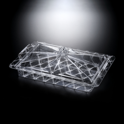 [02-1008S] طقم تقديم أكريليك فاج فضي