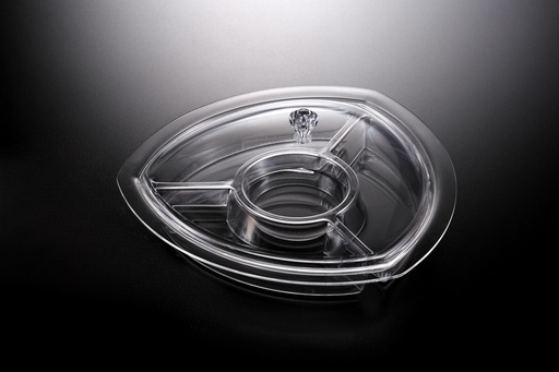 [02-1187] Vague Acrylic Triangle Serving Set with Dividers