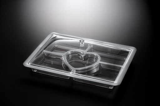 [02-1194] Vague Acrylic Rectangular Serving Set with Dividers