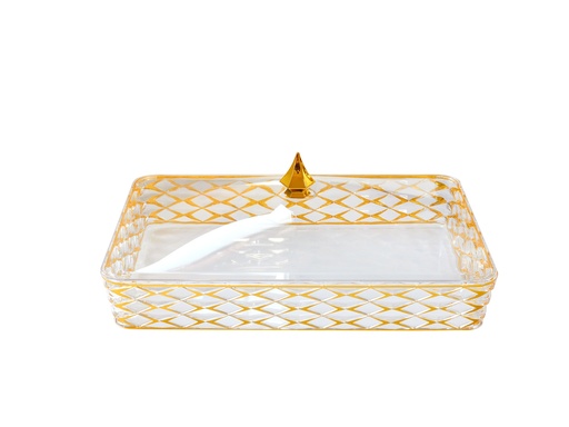 [02-1209] Vague Acrylic Transparent & Golden Rectangular Small Candy Box with Cover 31.7 cm x 21 cm Tog Design
