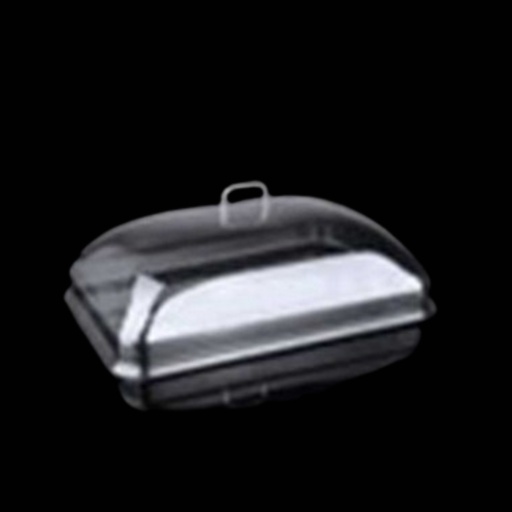 [13-342] Transparent Plastic Rectangular Cover 42x32 cm