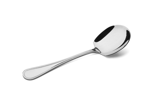 [13-782] Linayu Stainless Steel Lino Large Serving Spoon